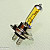 Halogen Bulbs, H7 100W 3300K Golden Style, Mtec