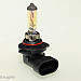 Mtec H10 Golden Style halogen bulbs 42W 3300K