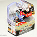 Mtec H10 Golden Style halogen bulbs 42W 3300K