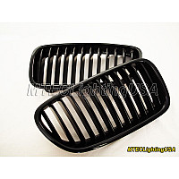 BMW Grill Njurar