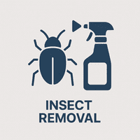 Insektsborttagning