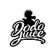 Dodo Juice
