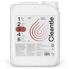 Interior Dressing 5L, Water-Based, Antistatic, Neutral pH, Pleasant Scent, Cleantle