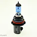 MTec 9007 Super White halogen bulbs 65/55W 4350K