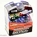 MTec H3 Super White halogen bulbs, racing 100W 4350K