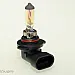 Mtec H10 Golden Style halogen bulbs 42W 3300K