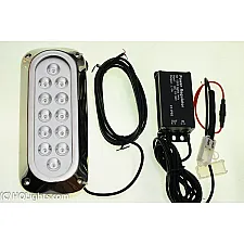 Underwater Lights, 12 LED, Red, Amphibian