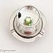 H7 CREE LED 5W, white 7000K, 1 lamp