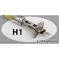 H1
