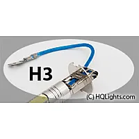H3